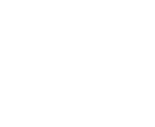 Business Village