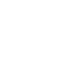 Feiyr